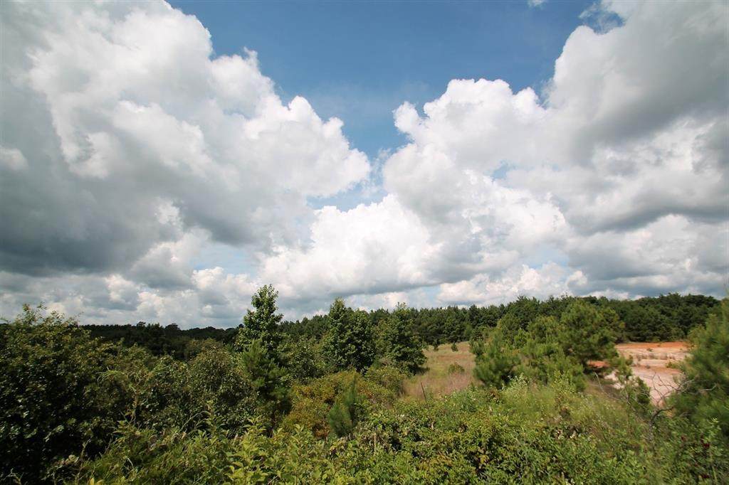 TBD Private Road 2343 - Photo 1