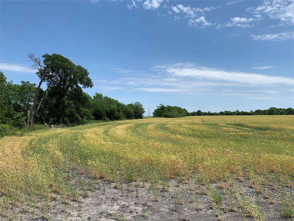 Tract 2 County Rd 2730 - Photo 1