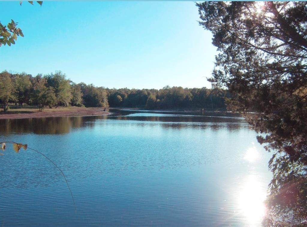 4755 County Road 45600 - Photo 1