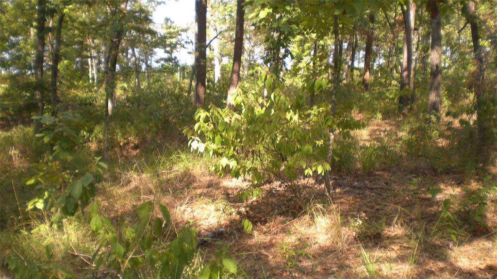 Lot 7 Pr 52444 - Photo 1