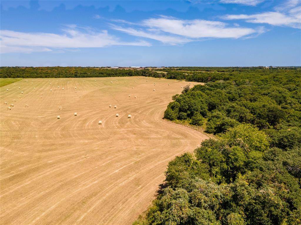 000 County Road 247 - Photo 1