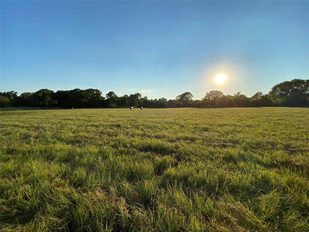 TBD Vz County Road 1714 - Photo 1