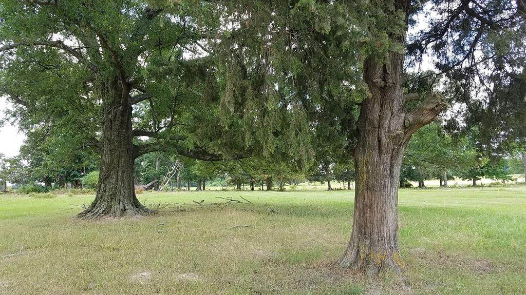 Lot 71 Pr 52320 - Photo 1