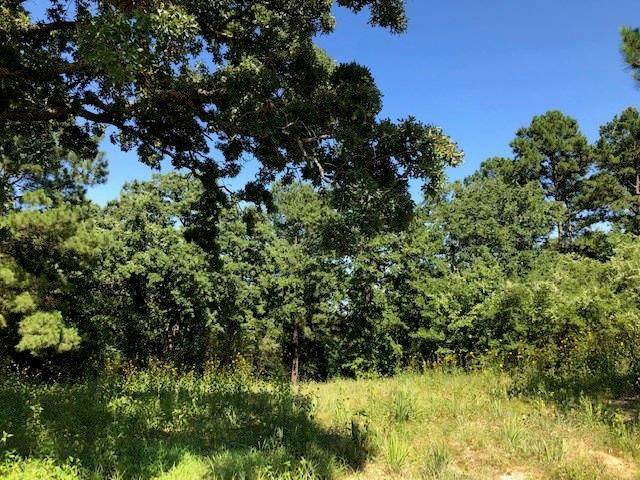 TBD Fm 2120/ Old Crockett Road - Photo 1