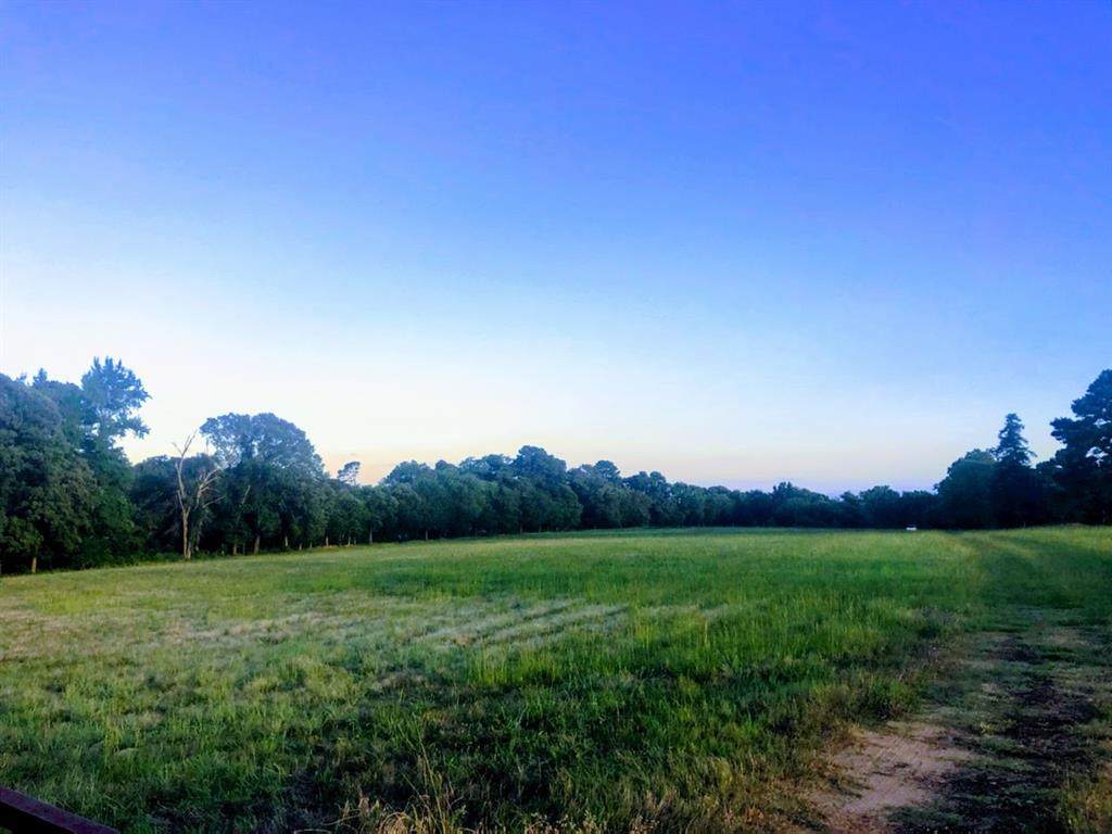 7401 Hwy 110 - Photo 1