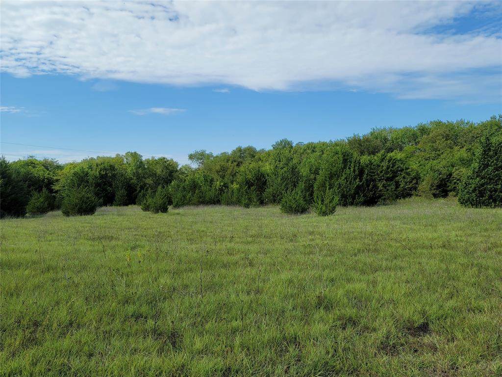 00 County Road 505 - Photo 1