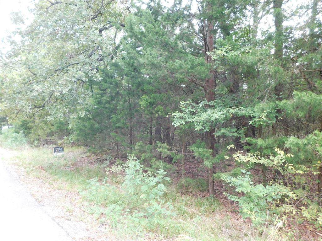 00 Sandy Lane - Photo 1