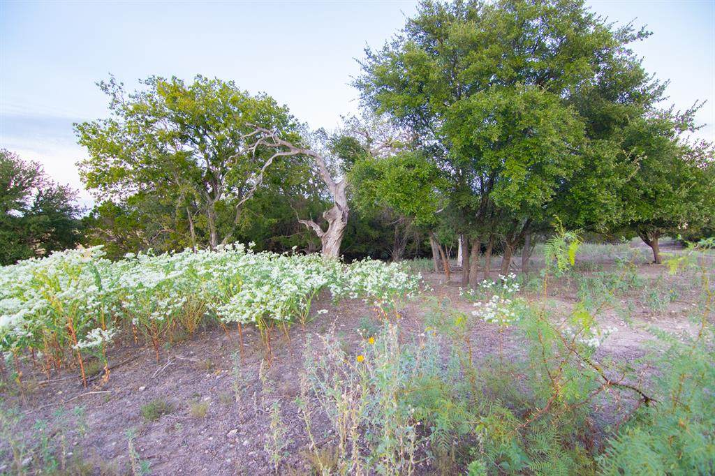 98 County Road 410 - Photo 1