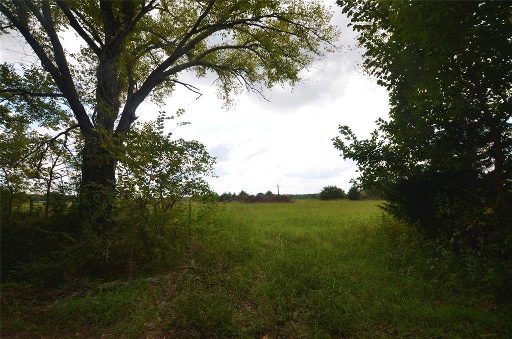 21.421 Carpenters Bluff Road - Photo 1
