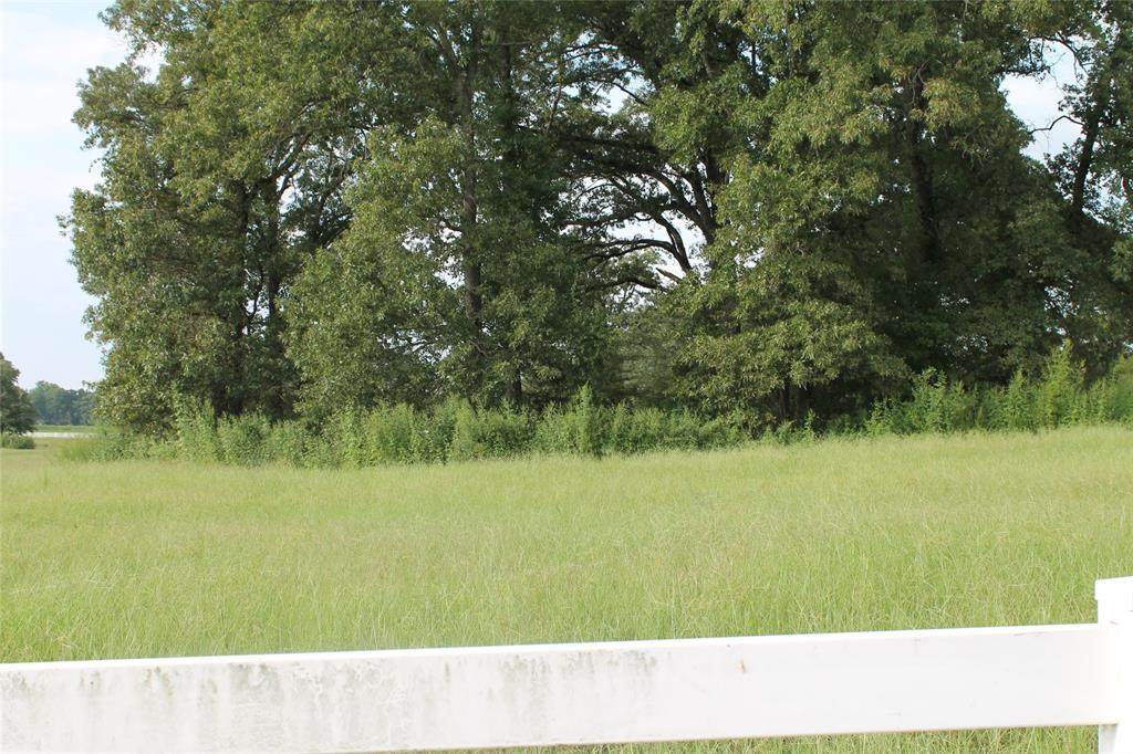 TBD Cr 188 Road - Photo 1