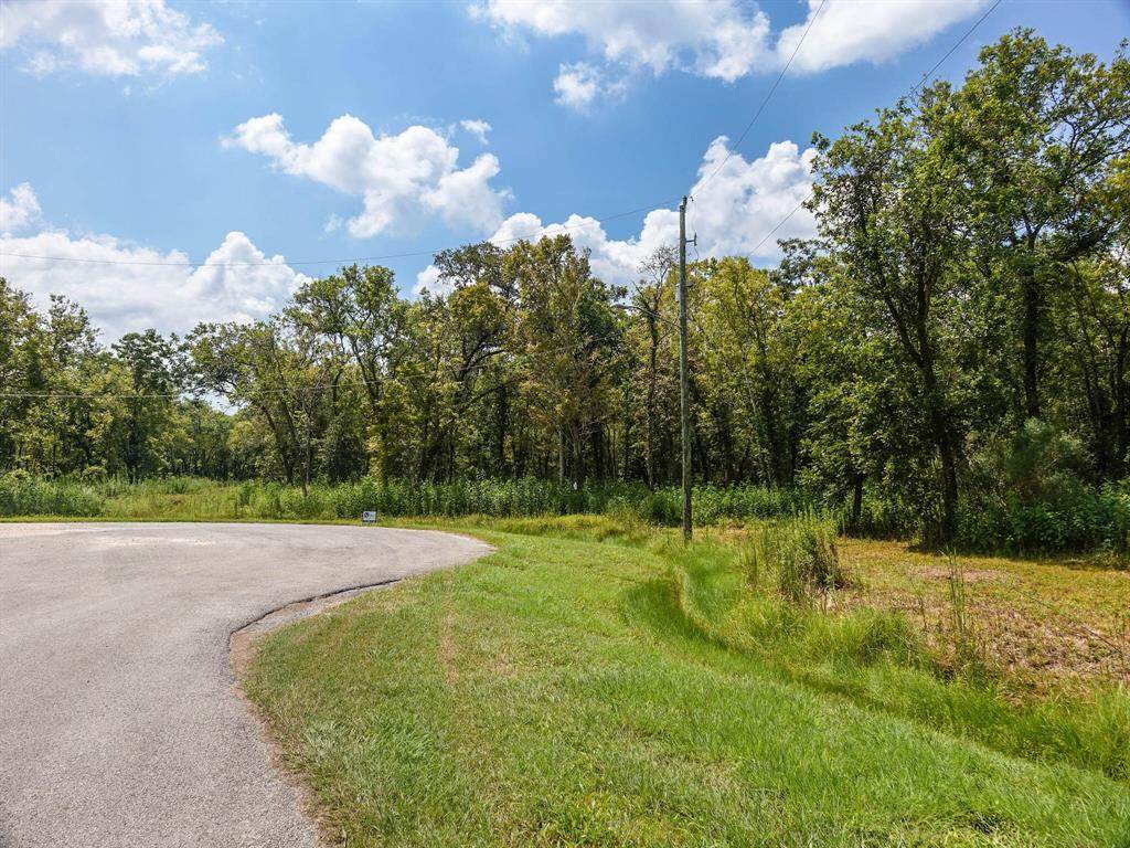 33718 Blue Marlin Drive - Photo 1
