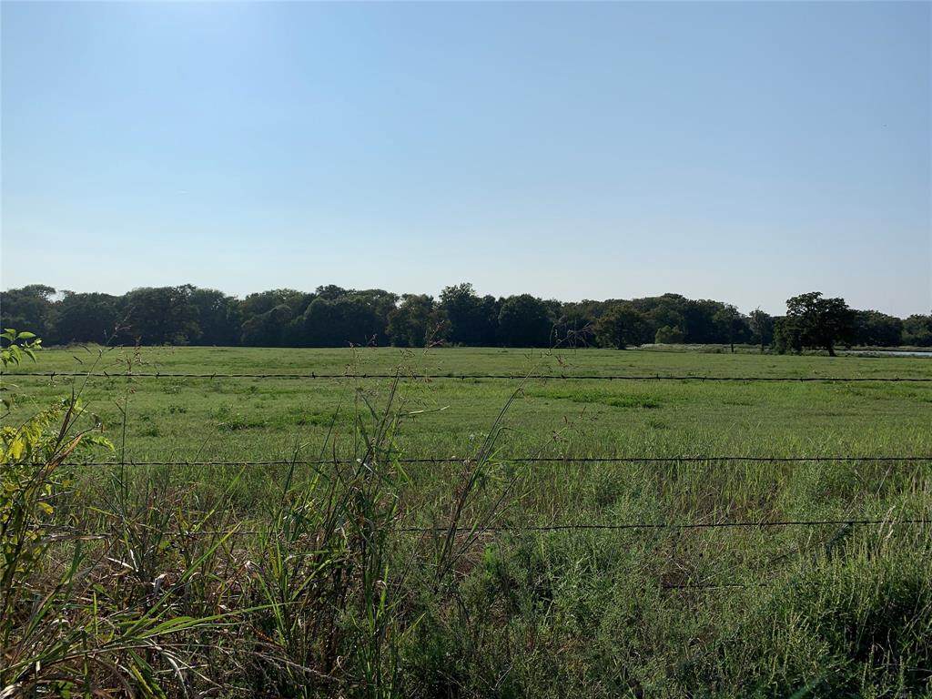 TBD County Road 1605 - Photo 1