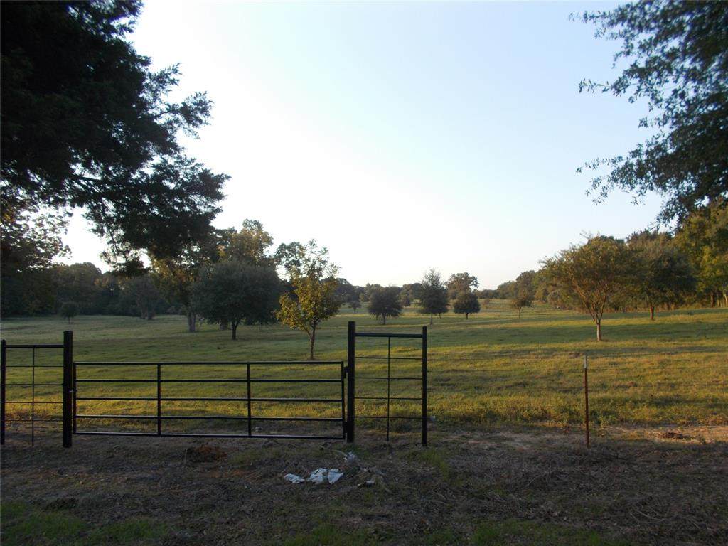TBD Fm 3094 - Photo 1