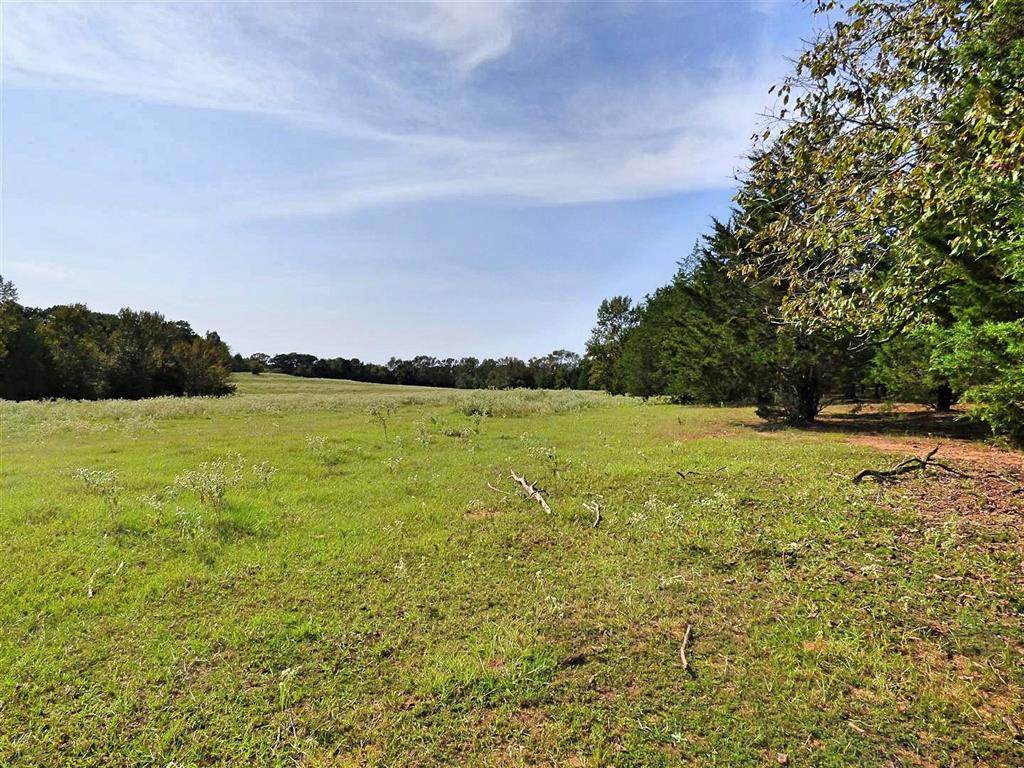 Tract B Cr 3317 Concord Road - Photo 1