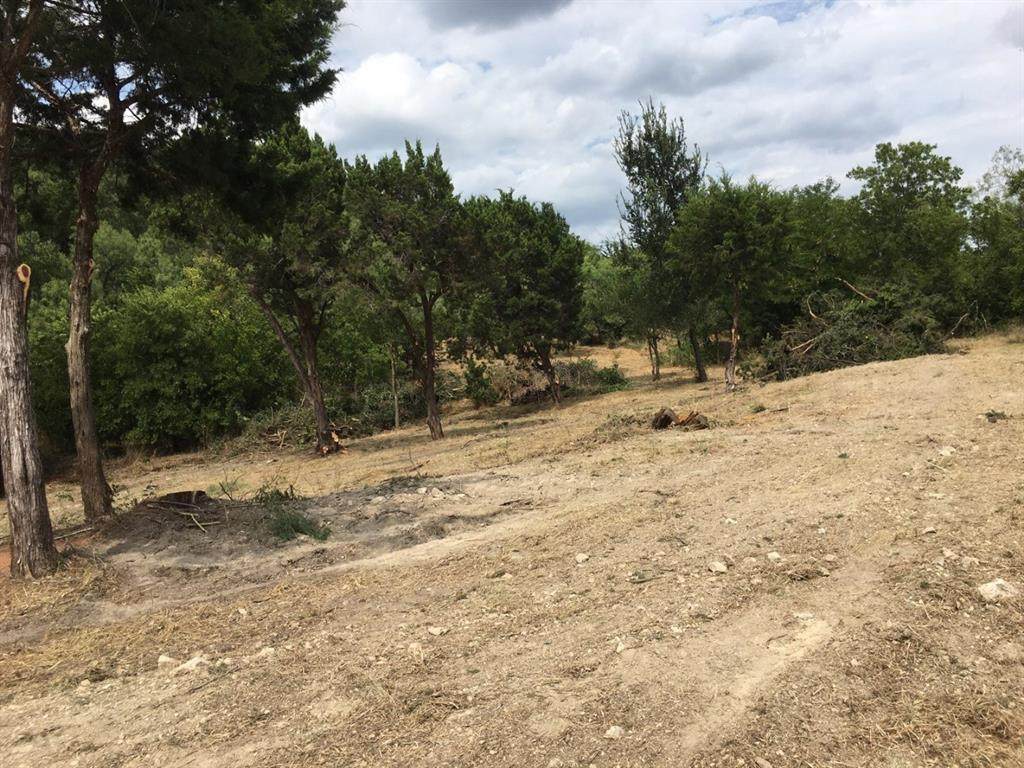 2401 Skyline Ct - Photo 1