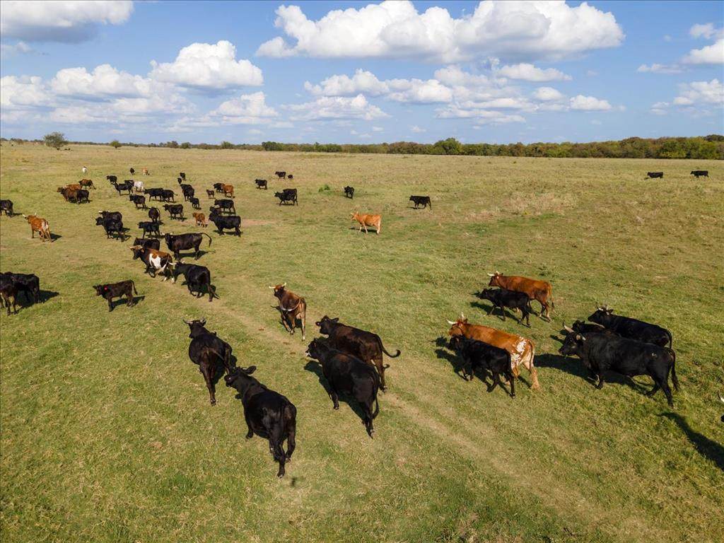103Ac County Road 1610 - Photo 1