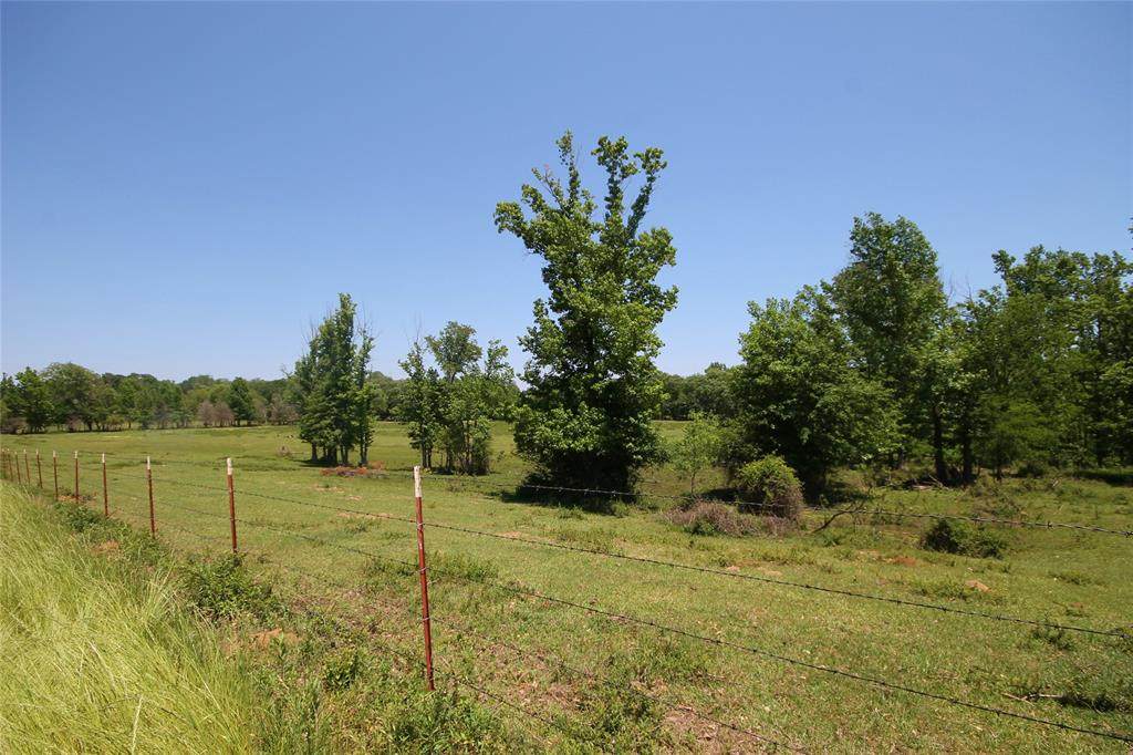 14233 County Road 474 - Photo 1
