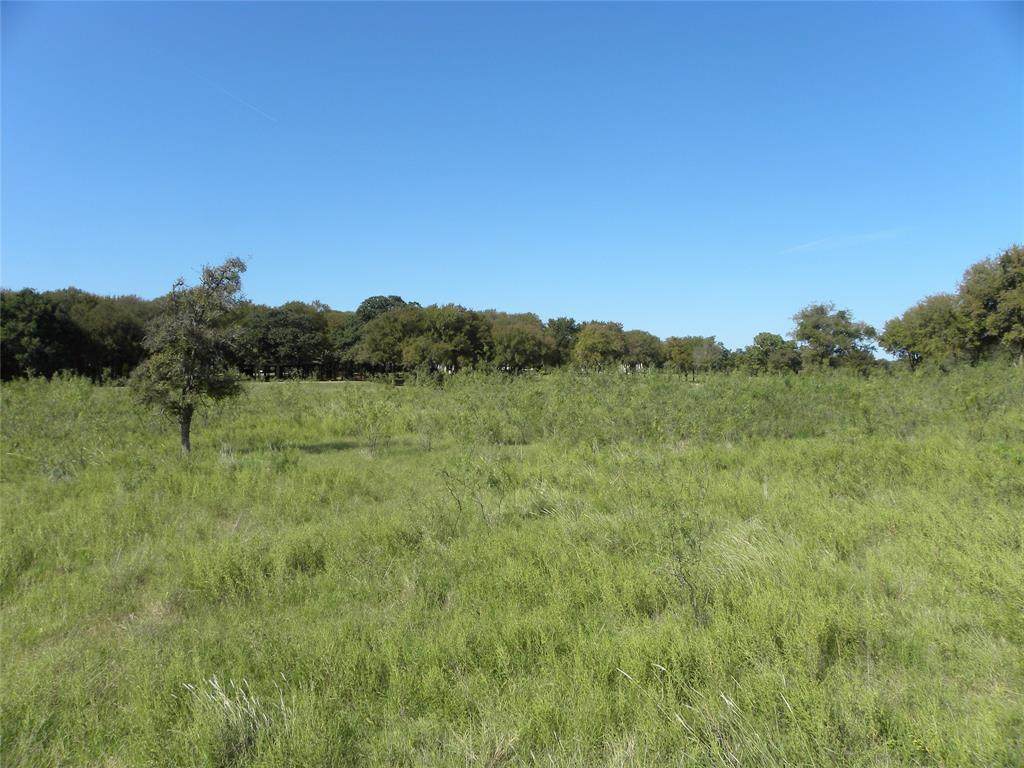 17018 Trailwood Drive - Photo 1