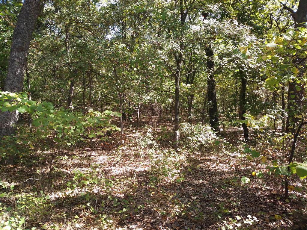 750 Copper Canyon Road - Photo 1