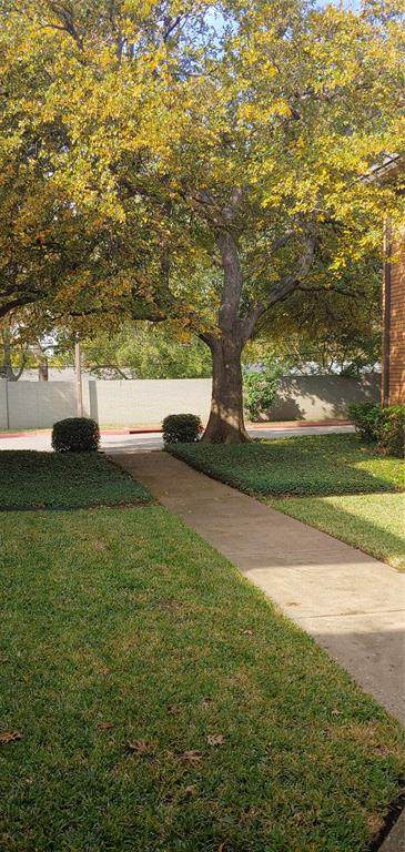 2803 Rio Branco Street - Photo 1