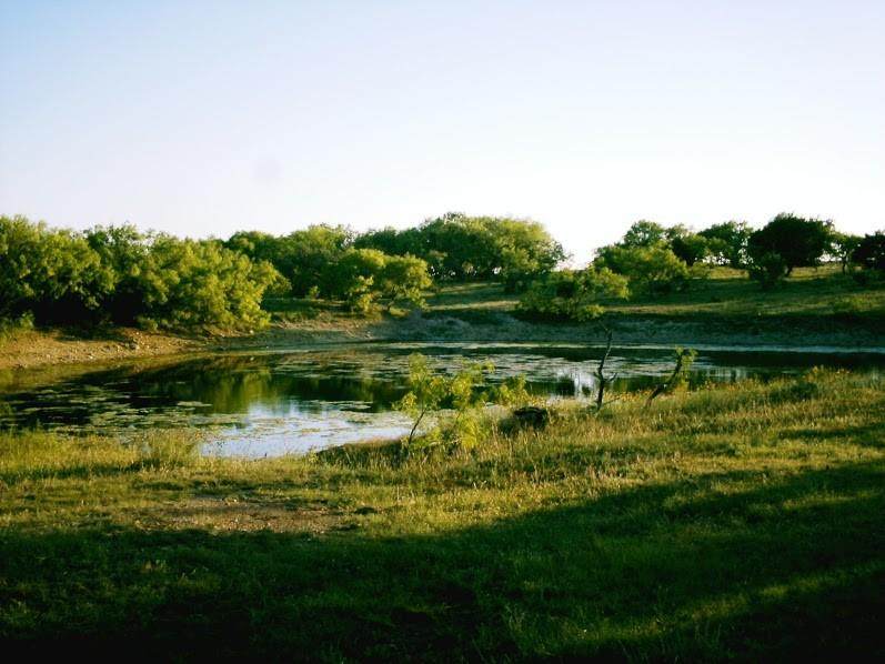 2 Pr 320 Road - Photo 1
