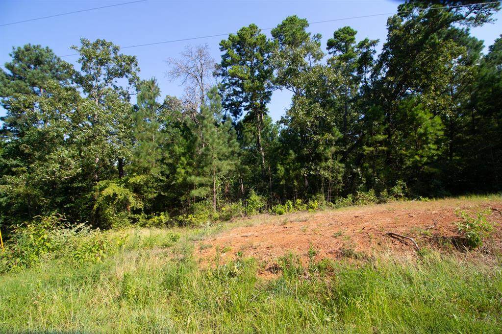 Lot 11 County Road 436 - Photo 1
