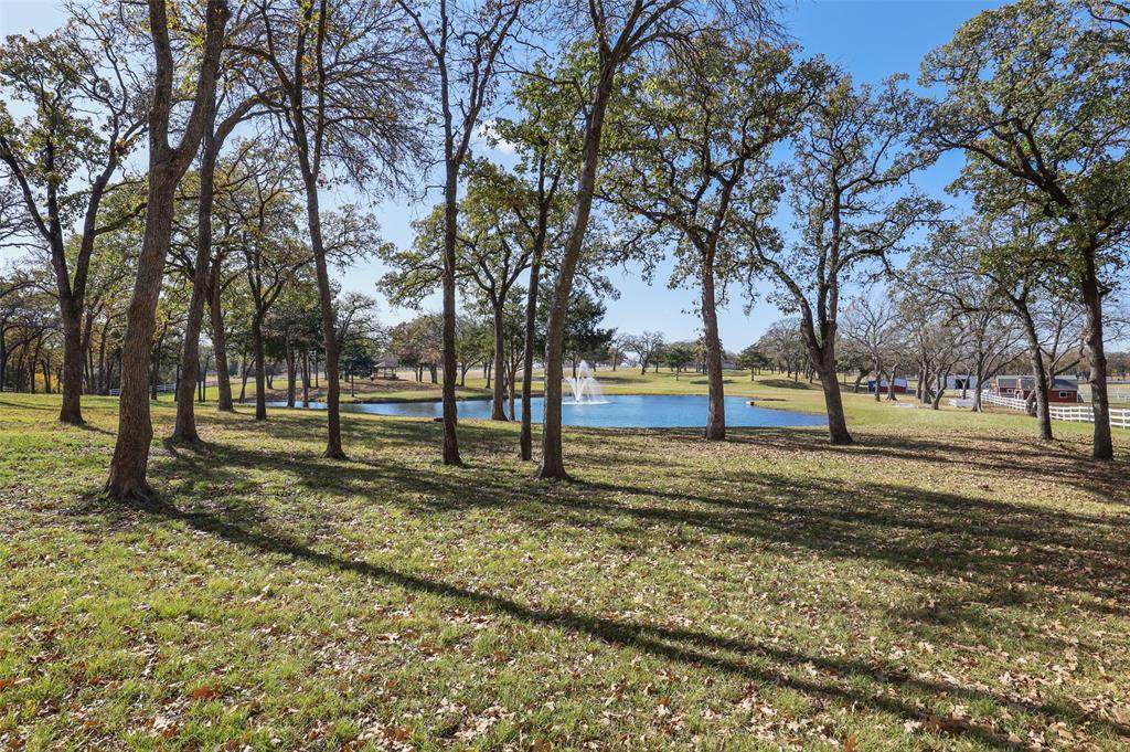 7404 Jo Will Street - Photo 1