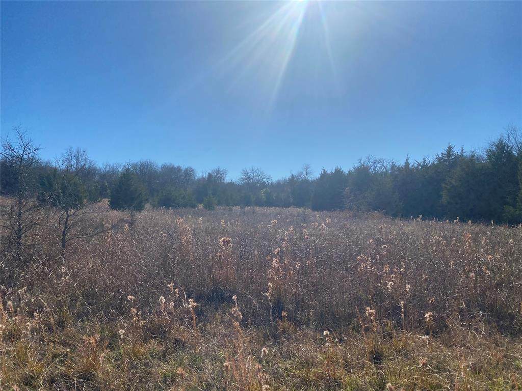 TBD Hwy 82 - Photo 1