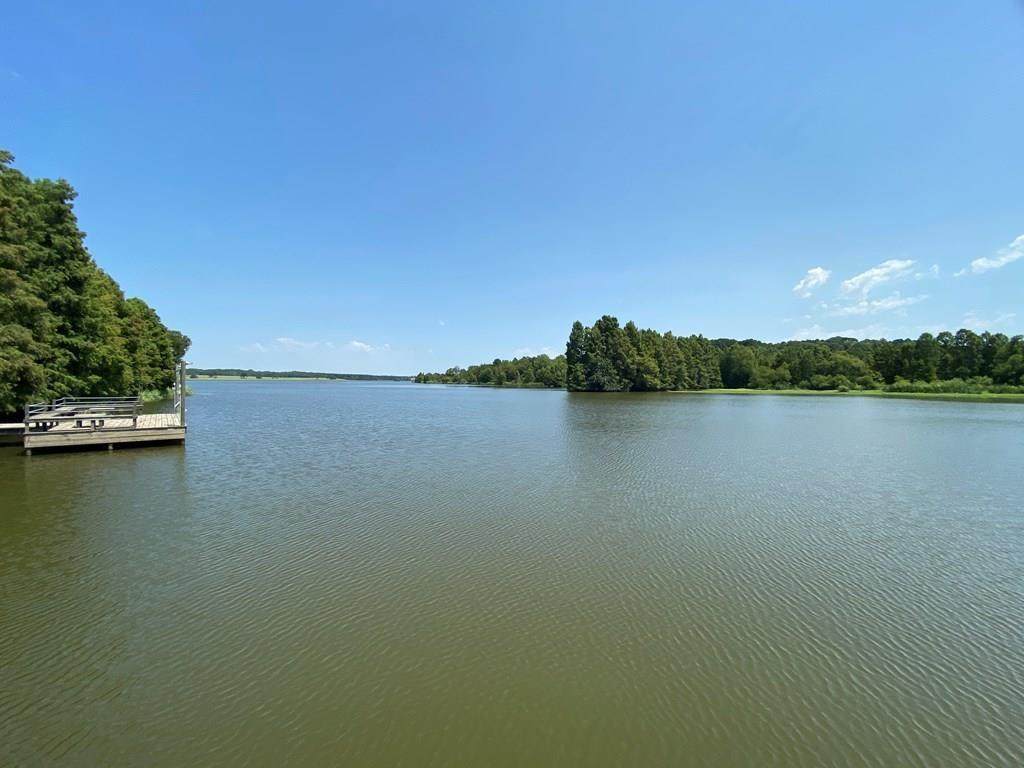 0 Lago Vista Drive - Photo 1