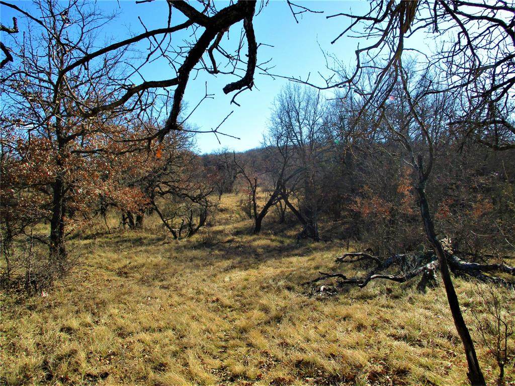 58 Ac Burwick - Photo 1
