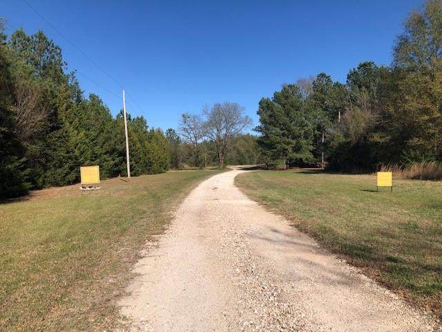 PR 4249 Farm Road 195 - Photo 1