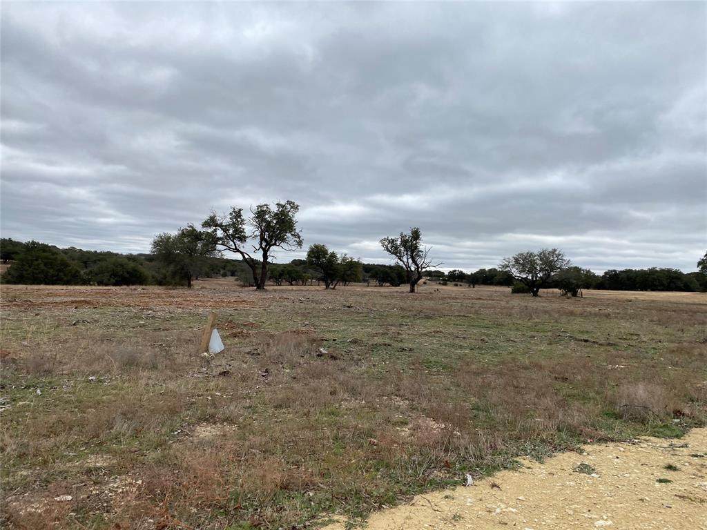 Lot 16 Honey Creek Pass Pass - Photo 1