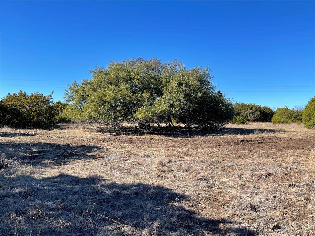 TBD Cr 424 - Photo 1
