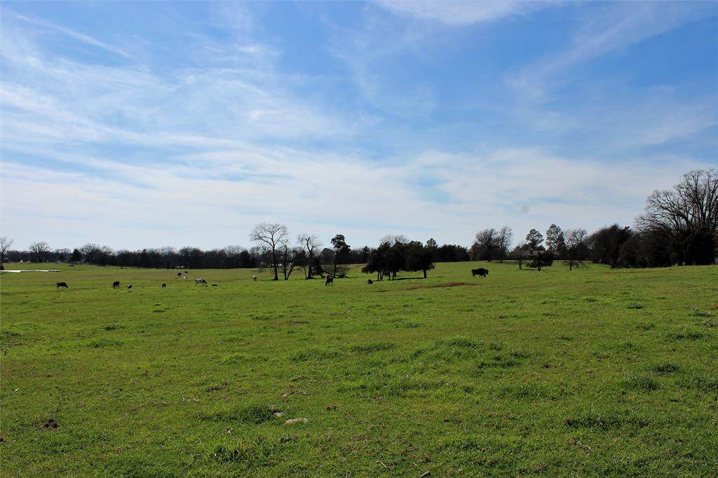 000 County Road 1475 - Photo 1