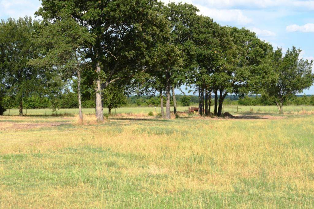 lot 1 Cr 4125 - Photo 1
