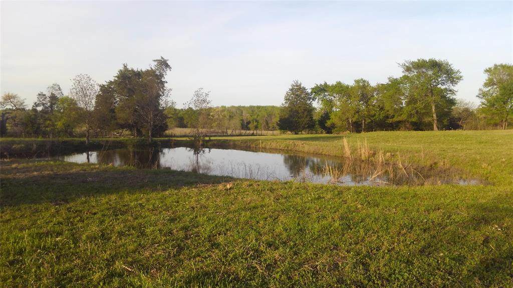 621 County Road 4275 - Photo 1