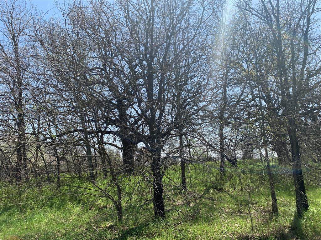 TBD County Road 1342 - Photo 1