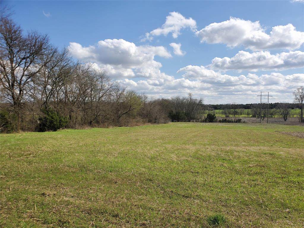 TBD Cameron Hill Road - Photo 1