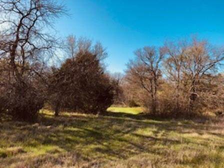 2779 County Road 4410 Road - Photo 1