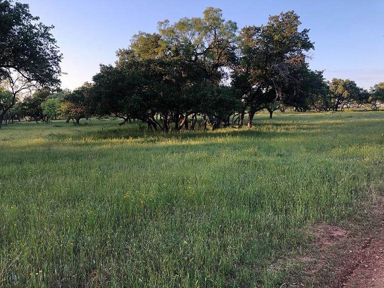 1100 Private Road 167 - Photo 1