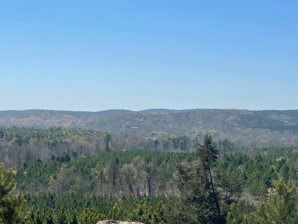 28 Woodland Bluffs - Photo 1