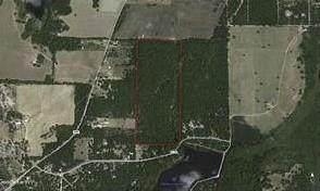 22478 County Road 4142 - Photo 1
