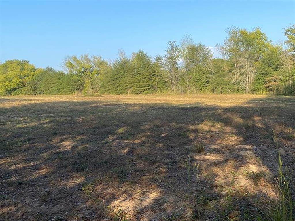TBD County Road 4129 - Photo 1