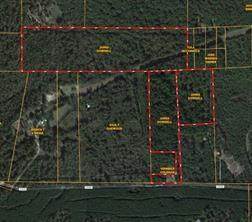 TBD Cr 2305 Gaylor Lake - Photo 1