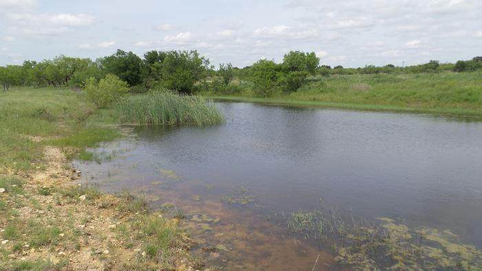 0 Hwy 67 - Photo 1