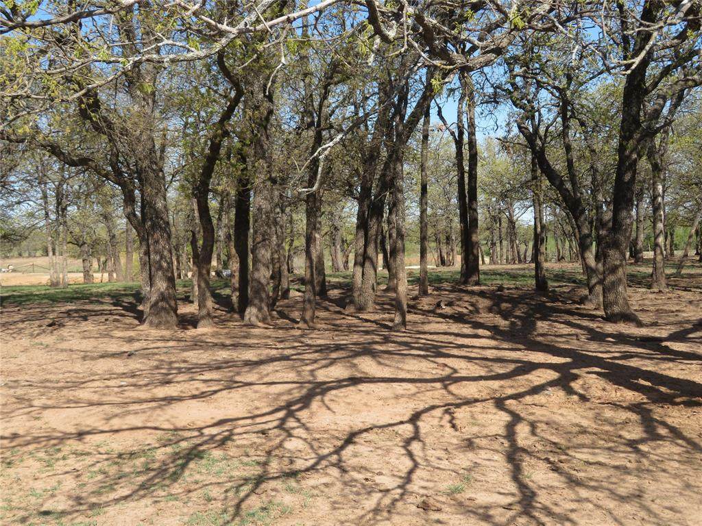 TBD Roth Road - Photo 1