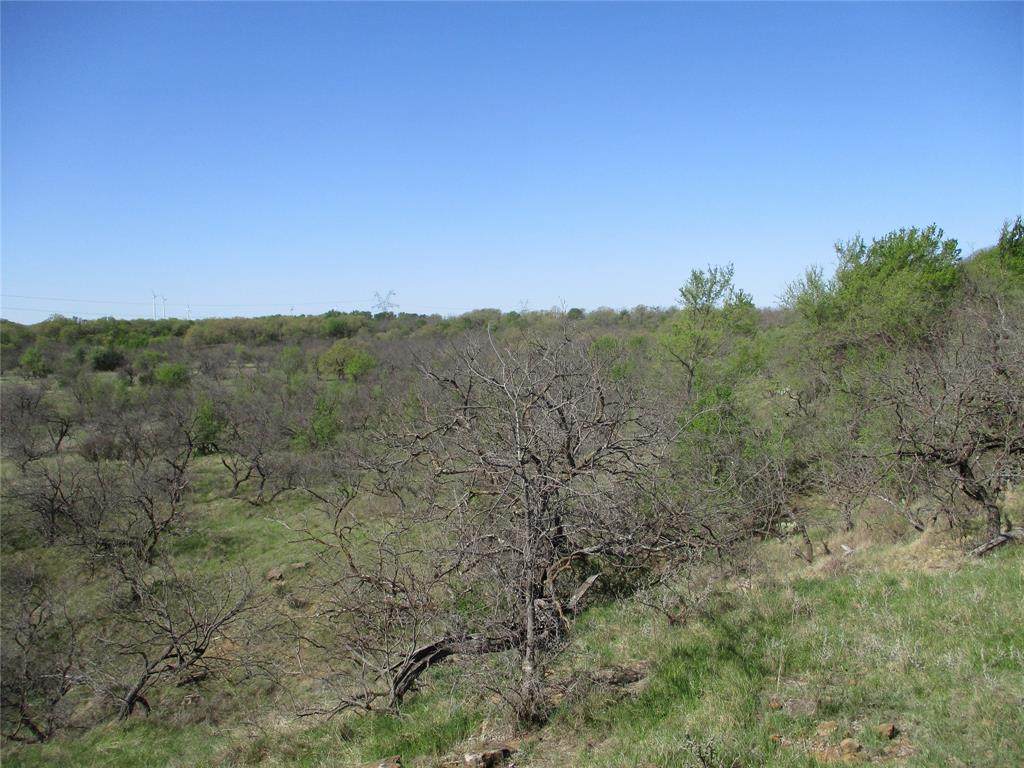 20 AC Burwick - Photo 1