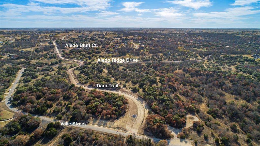 L7-B2 Aledo Bluff Circle - Photo 1