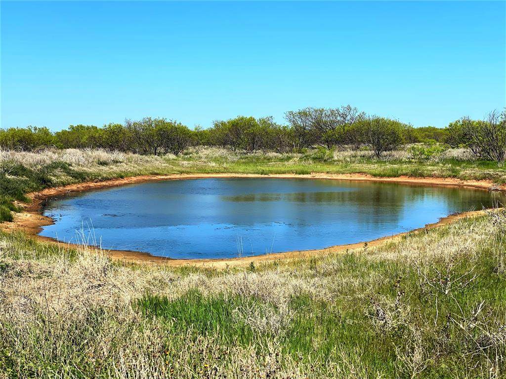 40 ac Davis Road - Photo 1