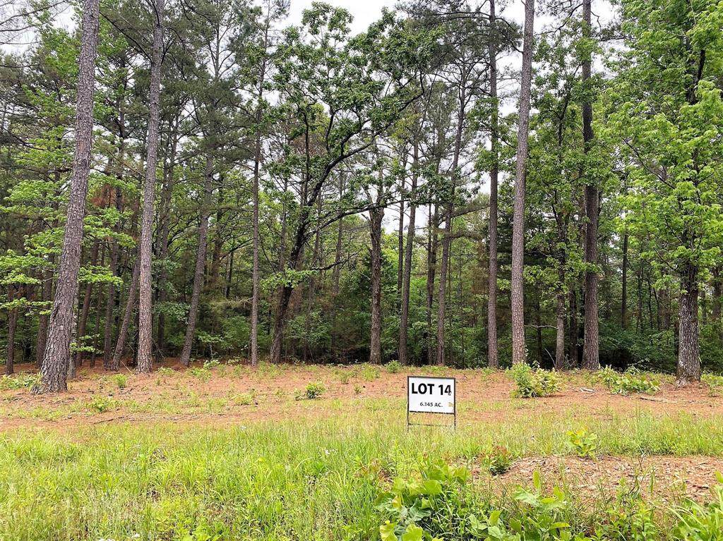 Lot 14 County Road 436 - Photo 1